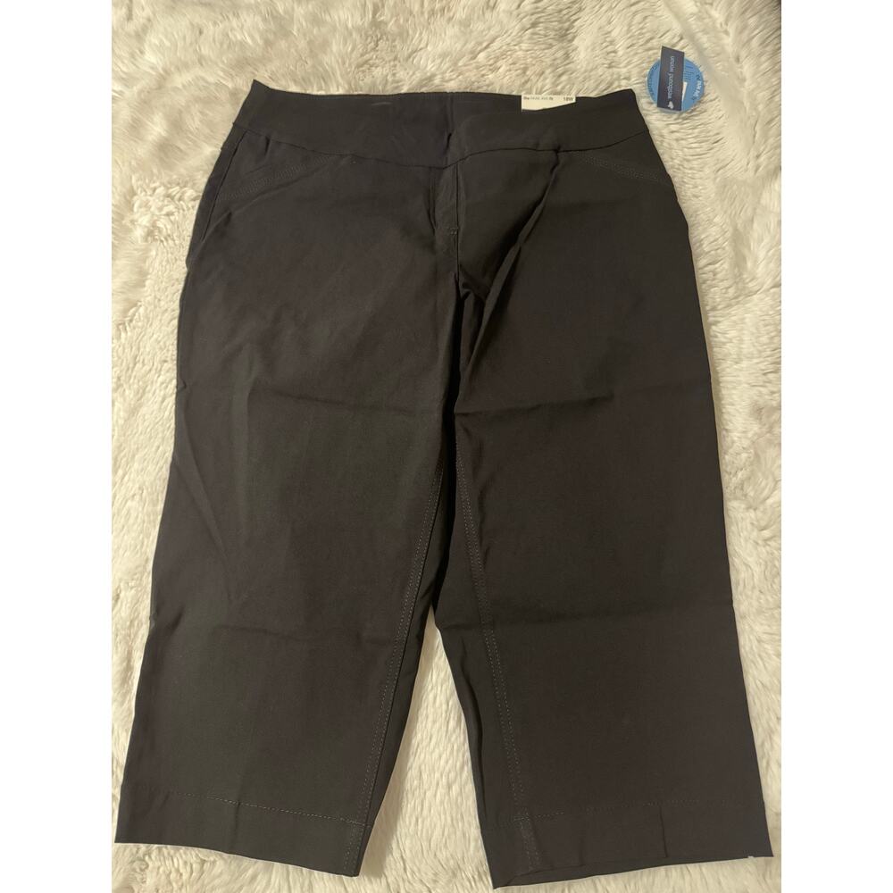 Women's Westbound Black Pants Plus size 18W PARK AVE fit